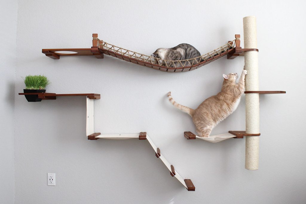 The Expedition - Cat Jungle Gym Wall System by Catastrophic Creations