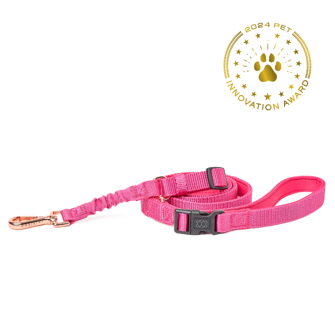 3-in-1 City Dog Leash - Park Ave Pink