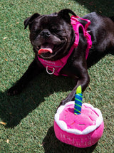 Squeaky Pink Birthday Cake Plush Dog Toy