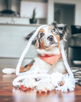 PARTY BANDANA