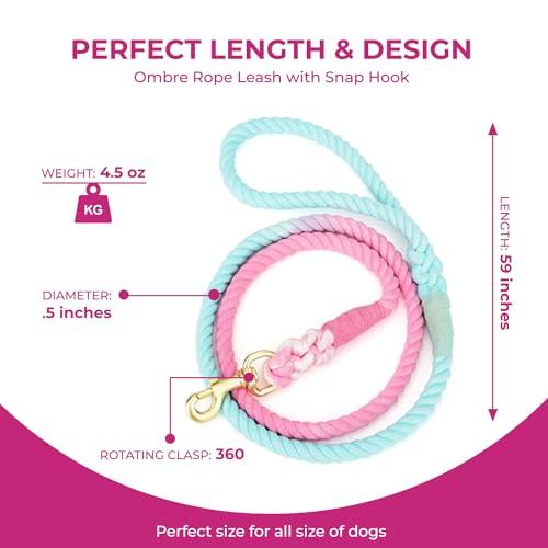 Pink and Blue Pastel Swirl Leash