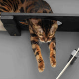 The Plateau - Horizontal Cat Scratcher Bed Set by Catastrophic Creations