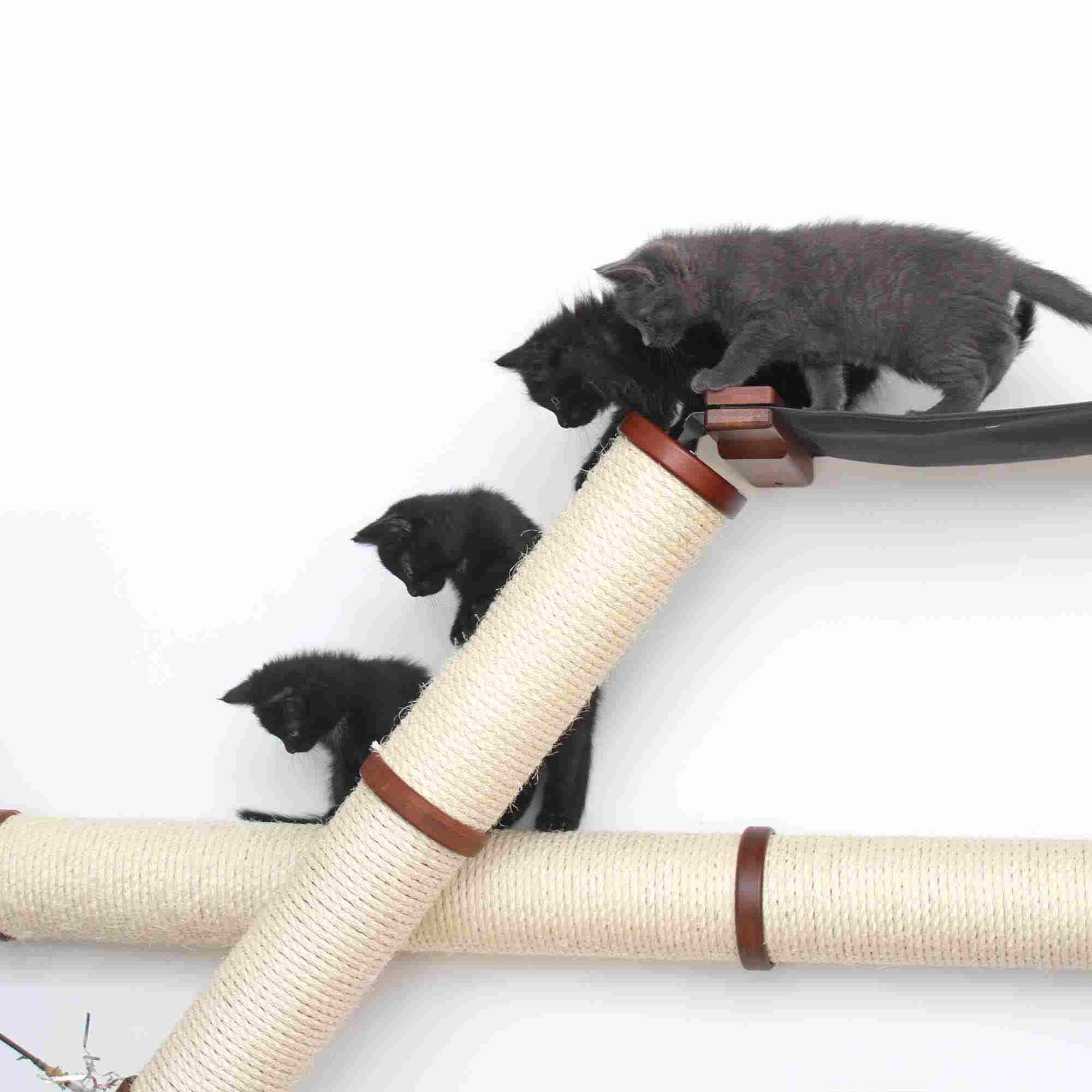 The Plateau - Horizontal Cat Scratcher Bed Set by Catastrophic Creations