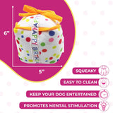 Squeaky Birthday Present Plush Dog Toy