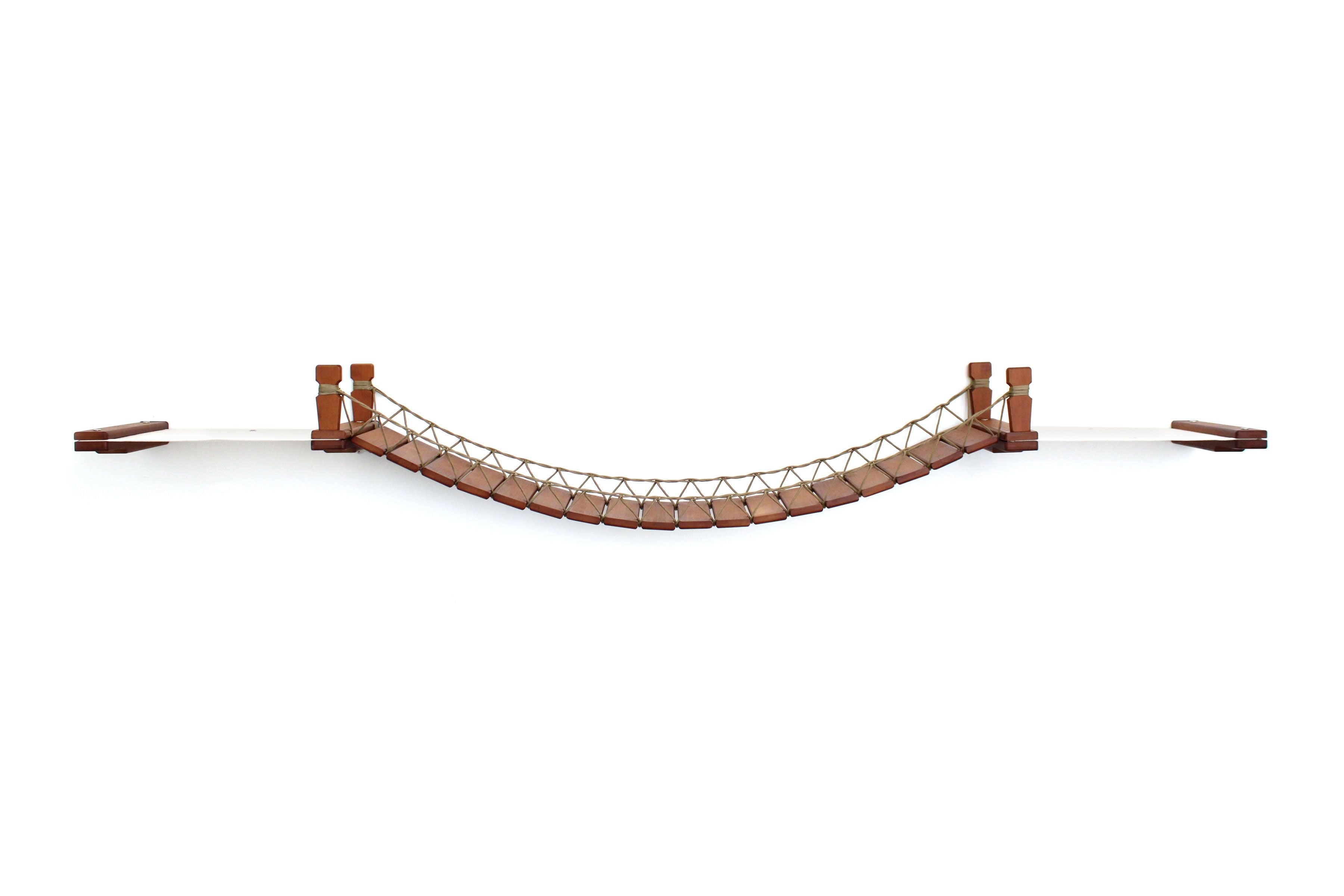 Double Cat Hammock and Climbing Bridge Combo by Catastrophic Creations