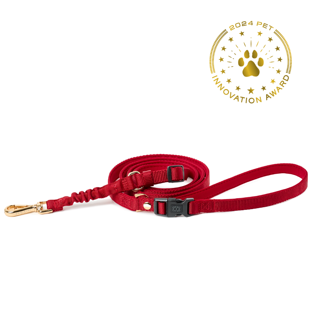 City Dog Leash - Iconic Red