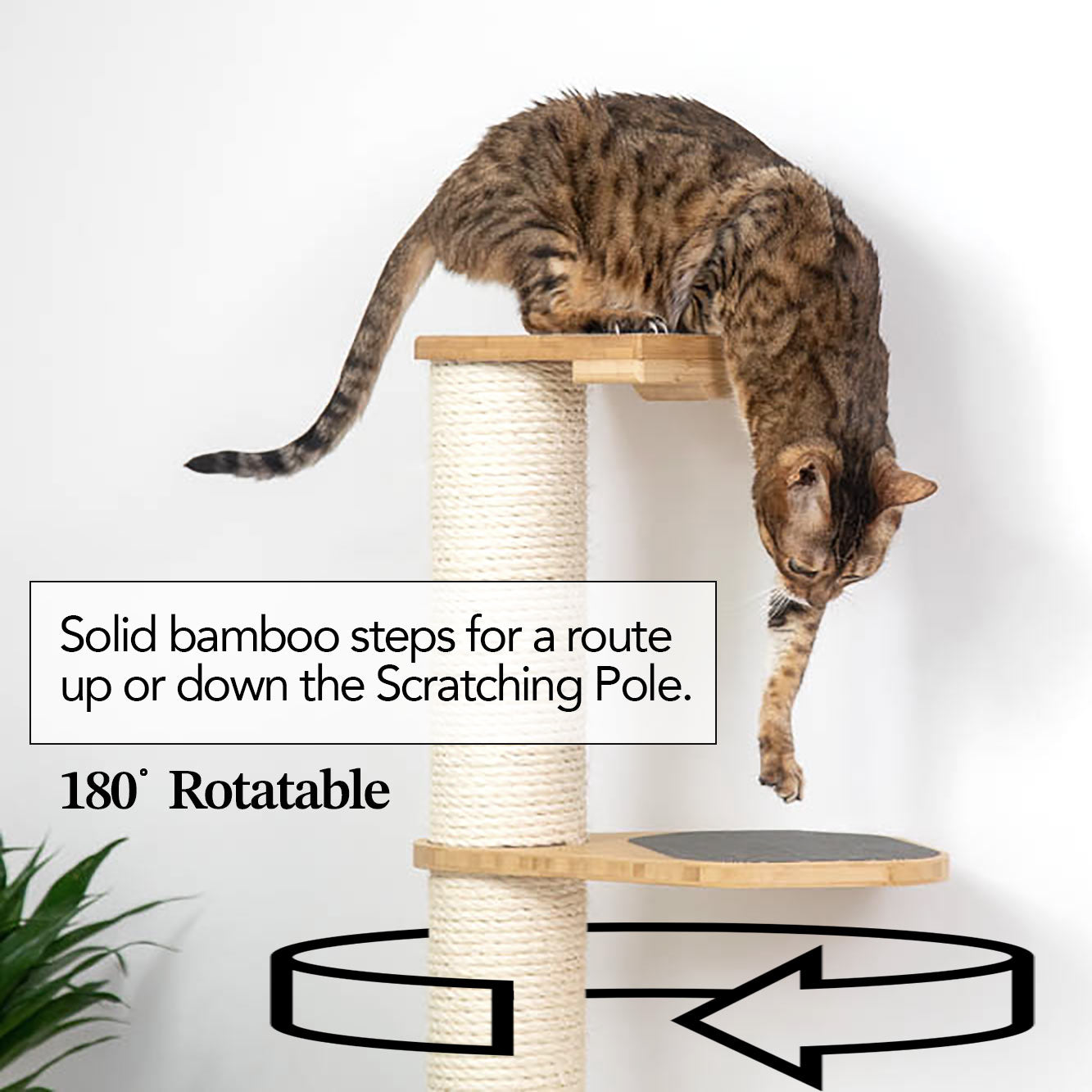 Wall Mounted Cat Climbing Pole - Sisal by Catastrophic Creations