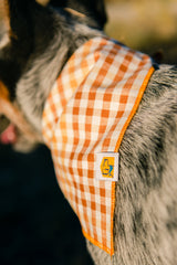 Seasoned Plaid Everyday Bandana