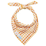 Seasoned Plaid Everyday Bandana
