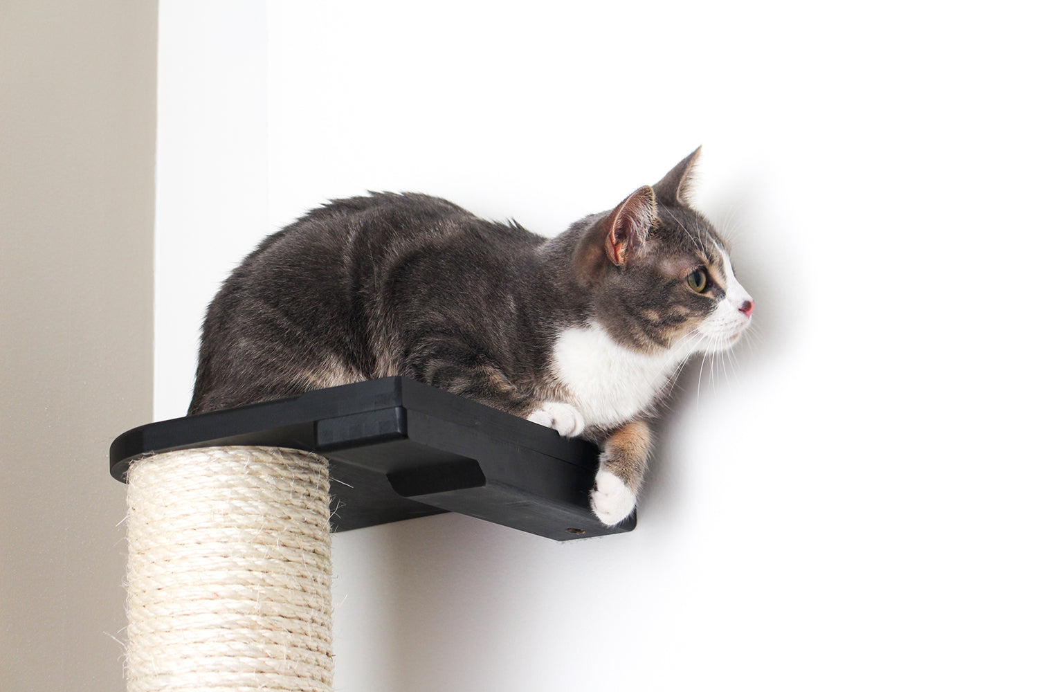 Wall Mounted Cat Climbing Pole - Sisal by Catastrophic Creations