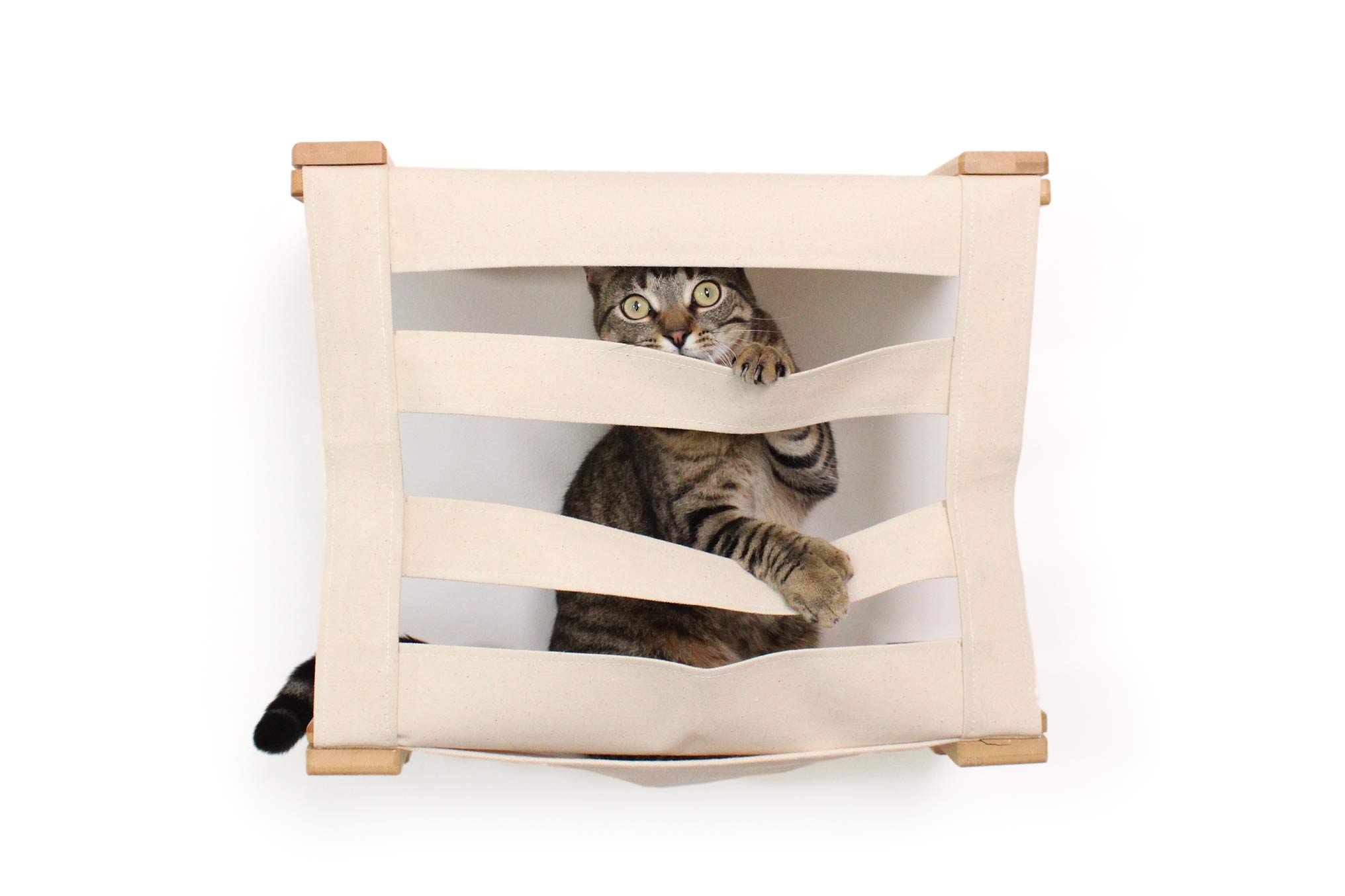 Enclosed Cat Bed - Cat Wall Cubby by Catastrophic Creations