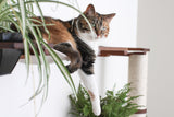 The Juggernaut - Indoor Cat Playground for Wall by Catastrophic Creations