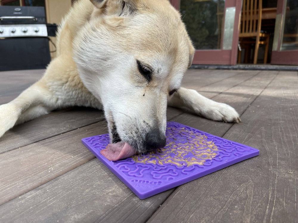 Bones Dog Lick Mat — Halloween Enrichment by SodaPup
