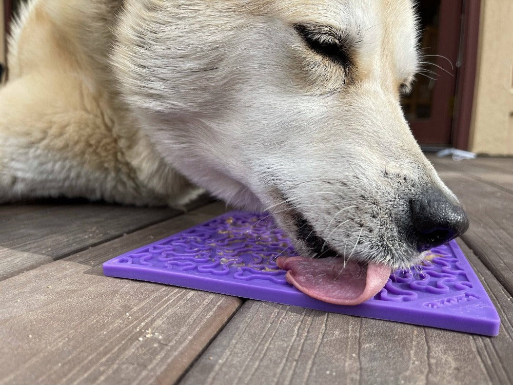 Bones Dog Lick Mat — Halloween Enrichment by SodaPup