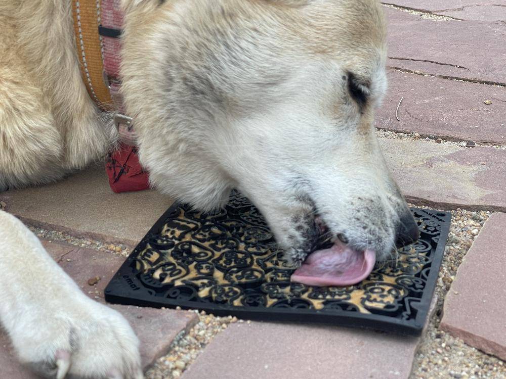 Zombie Dog Lick Mat — Halloween Enrichment by SodaPup