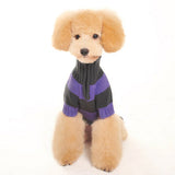 Sporty Stripe Sweater