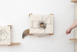 Enclosed Cat Bed - Cat Wall Cubby by Catastrophic Creations
