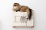 Enclosed Cat Bed - Cat Wall Cubby by Catastrophic Creations