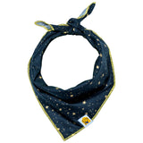 Starry Night Metallic Dog Bandana
