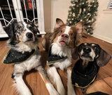 Starry Night Metallic Dog Bandana