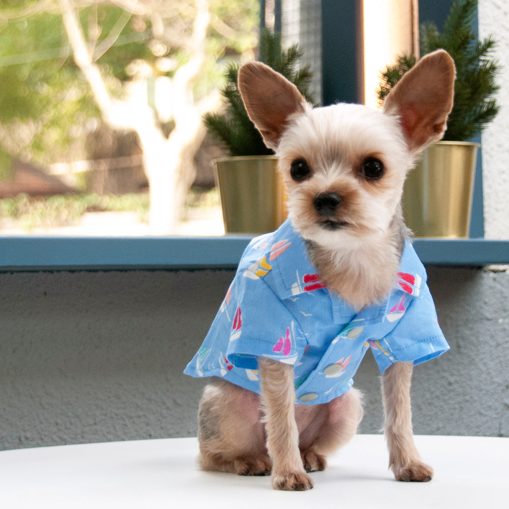 Summer Beach Shirt