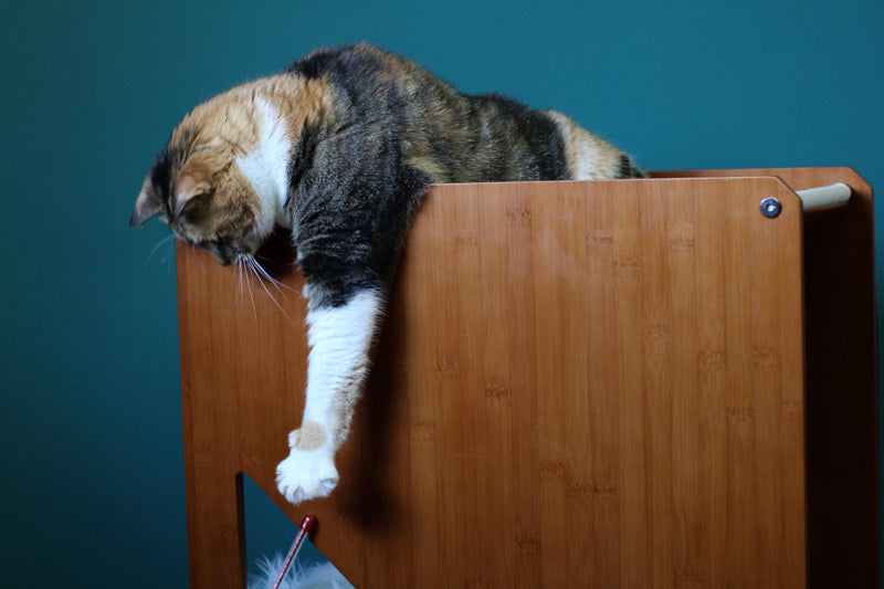 The Overlook - Sturdy - Bamboo Cat Tree by Catastrophic Creations