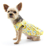 Sweet Lemonade Dress