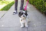 Magenta Boho Chic Dog Leash
