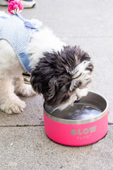 Bright Pink Stainless Steel Dog Bowl