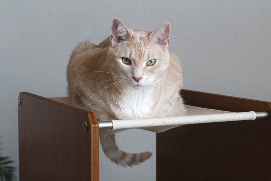 The Overlook - Sturdy - Bamboo Cat Tree by Catastrophic Creations