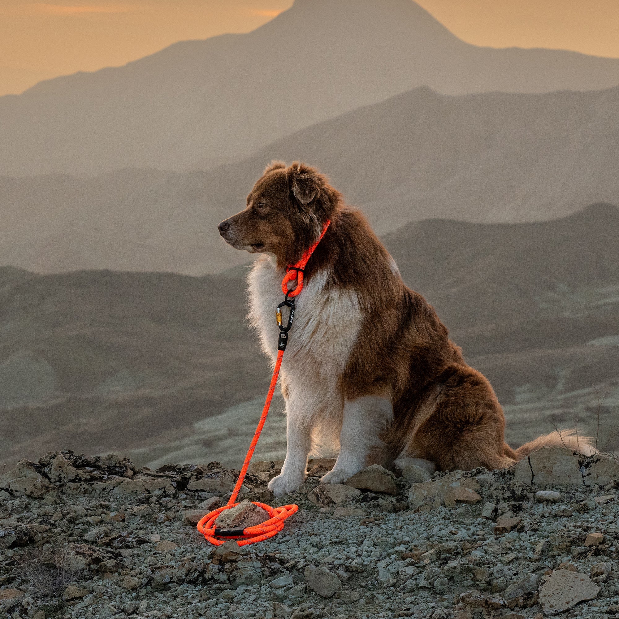 Slip Dog Collar – Small Norte | Adjustable Climbing Rope | Handmade by Tuenne