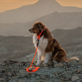 Slip Dog Collar – Small Norte | Adjustable Climbing Rope | Handmade by Tuenne