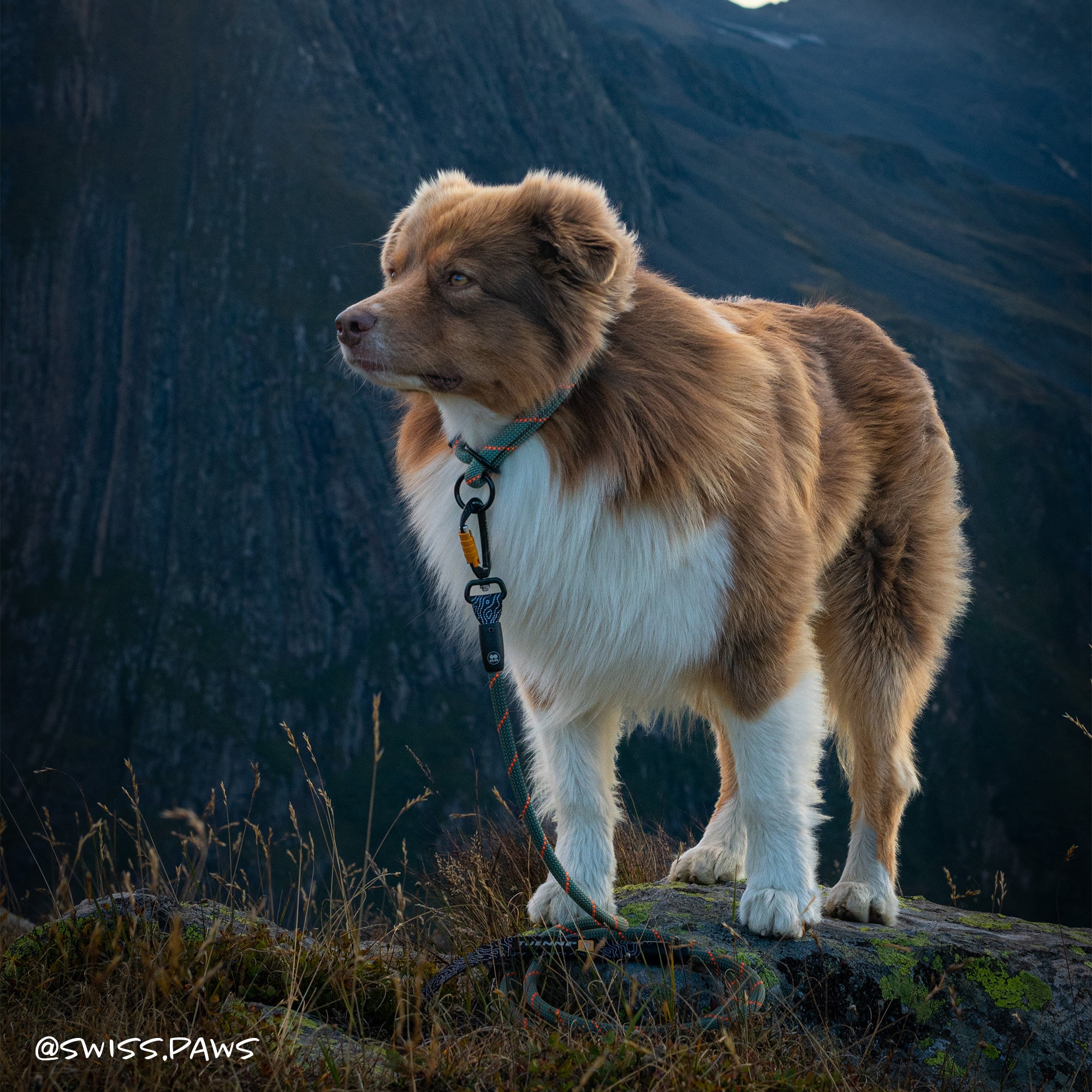 Slip Dog Collar – Small Norte | Adjustable Climbing Rope | Handmade by Tuenne