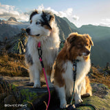 Slip Dog Collar – Small Norte | Adjustable Climbing Rope | Handmade by Tuenne