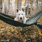 Slip Dog Collar – Small Norte | Adjustable Climbing Rope | Handmade by Tuenne