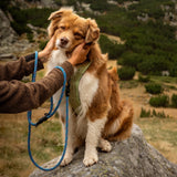 Customizable Boulder Hybrid Rope Dog Leash | Swiveling Carabiner | Tuenne