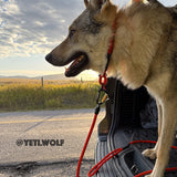 Customizable Boulder Hybrid Rope Dog Leash | Swiveling Carabiner | Tuenne
