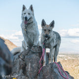 Customizable Boulder Hybrid Rope Dog Leash | Swiveling Carabiner | Tuenne