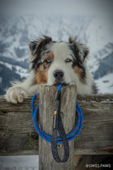 Customizable Rope Dog Leash – 2ft to 6ft | Auto-Locking | Tuenne