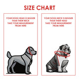 Large Norte Slip Dog Collar | 25–29" Fit | Tuenne