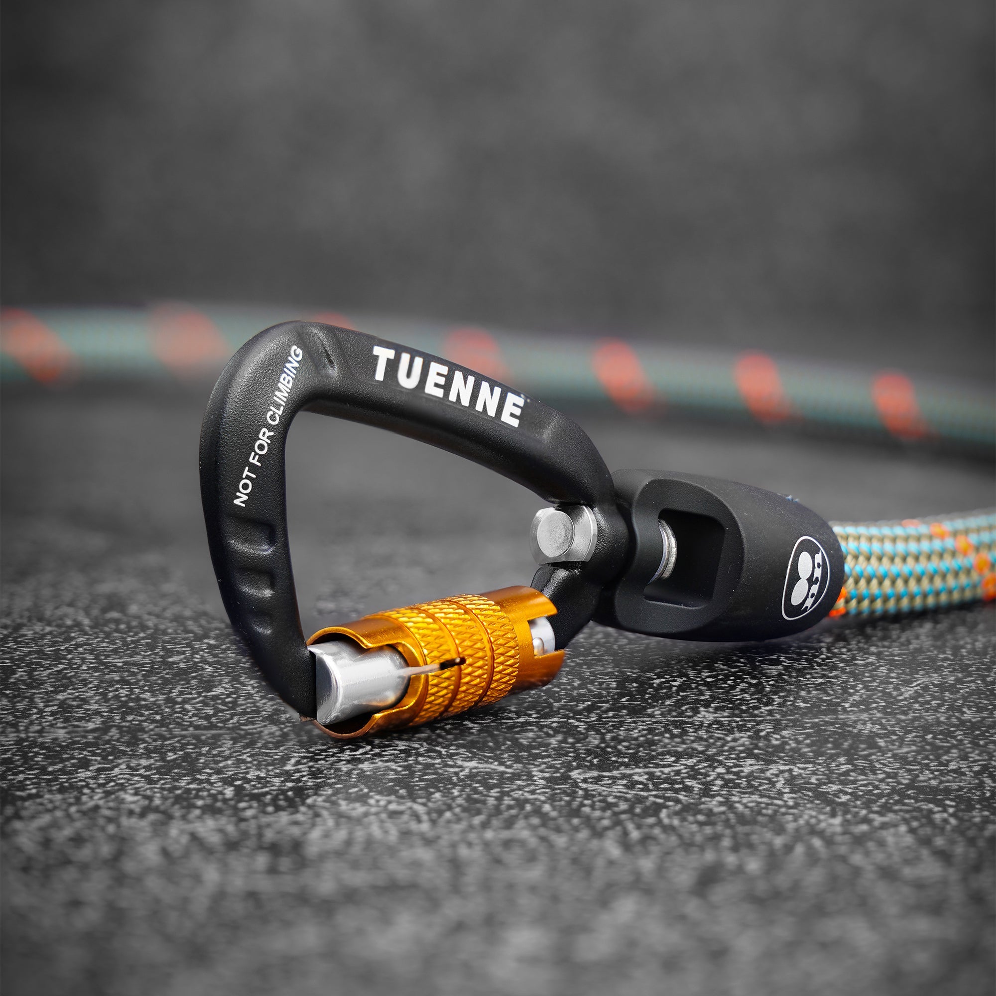 Rope Dog Leash with Auto-Locking Carabiner – 9.9mm Mammut Dry-Treated | Tuenne