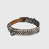 Forever Collar