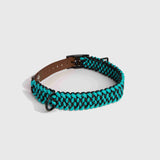 Forever Collar