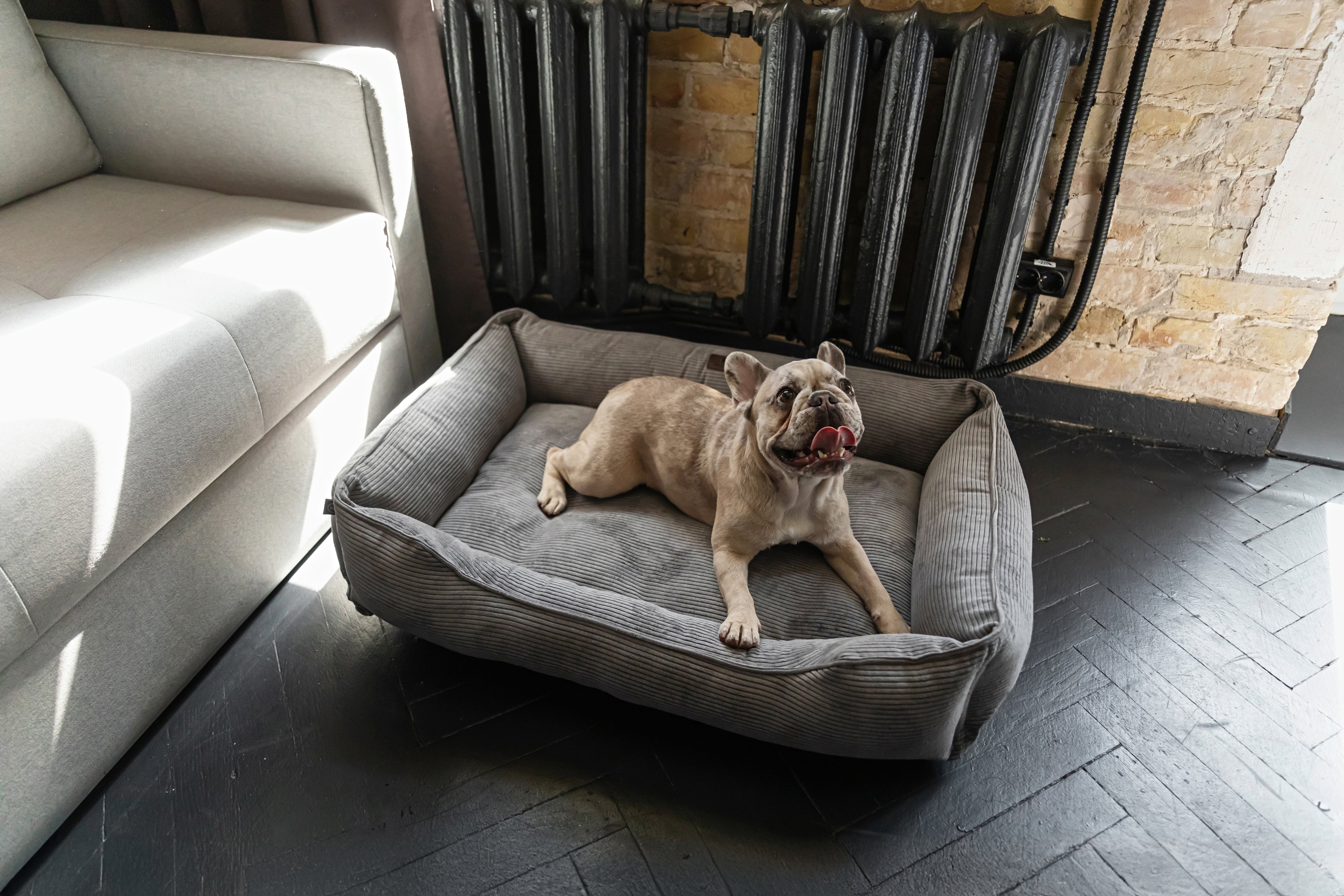 Sleeper Dog Bed Corduroy - Gray Color
