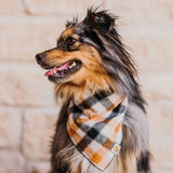 Tobacco Plaid Dog Bandana