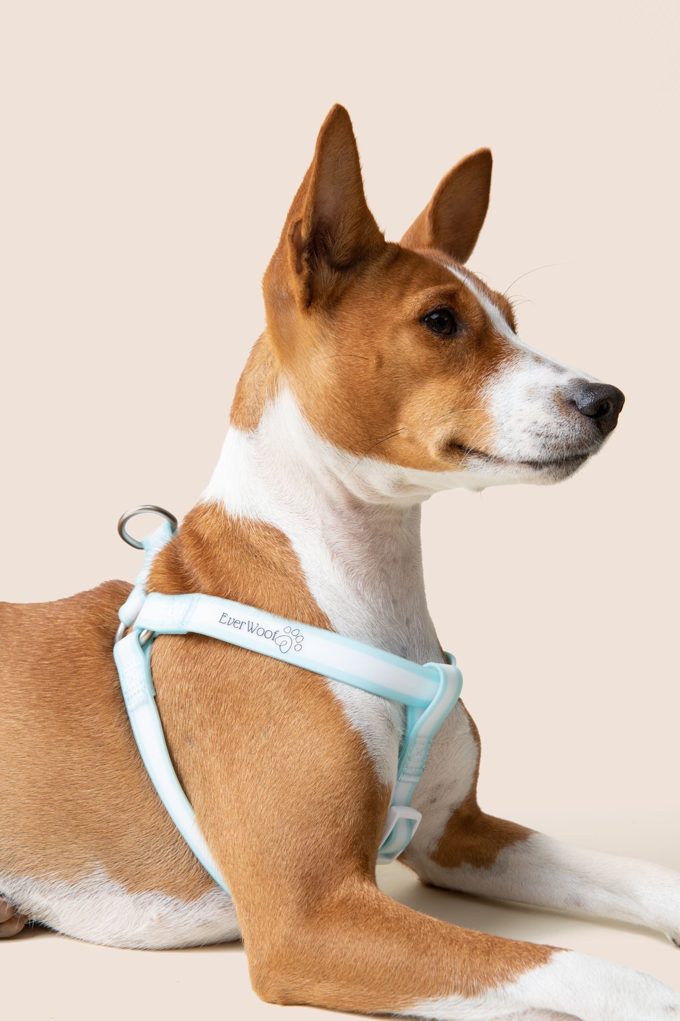 Cloud Nine Waterproof Step-in Harness