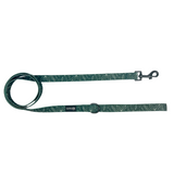 Evergreen Dream Leashes