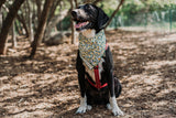 Limoncello Dog Bandana