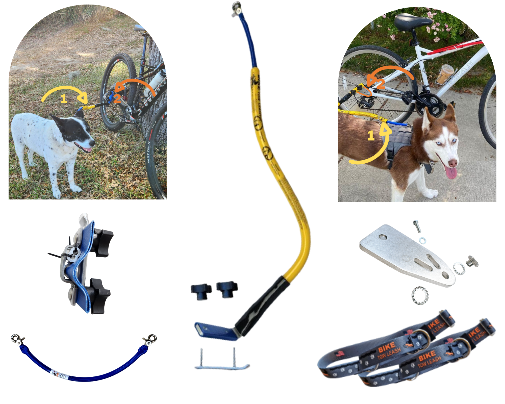 Bike Tow Leash Double Dog Package