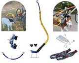 Bike Tow Leash Double Dog Package
